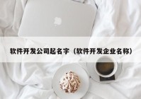 软件开发公司起名字（软件开发企业名称）