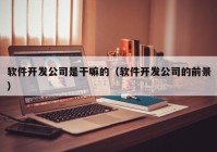 软件开发公司是干嘛的（软件开发公司的前景）