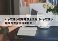 app软件小程序开发全流程（app软件小程序开发全流程是什么）